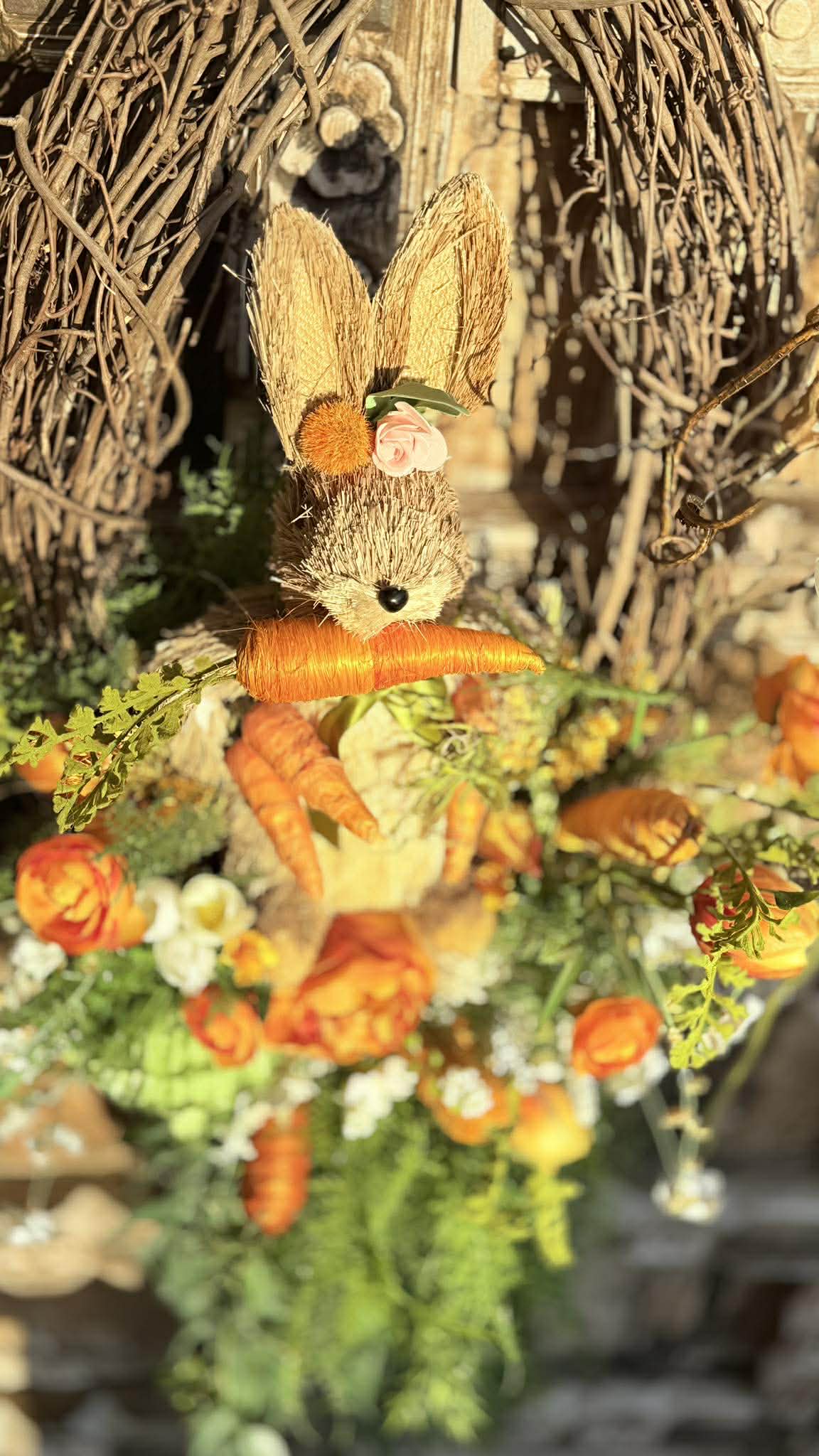 The Carrot Collector